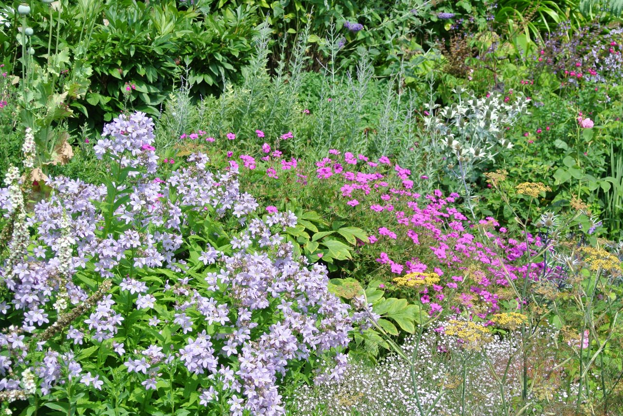 Plant sourcing and Planting Plan Implemenation Service - Purple and Blue Border